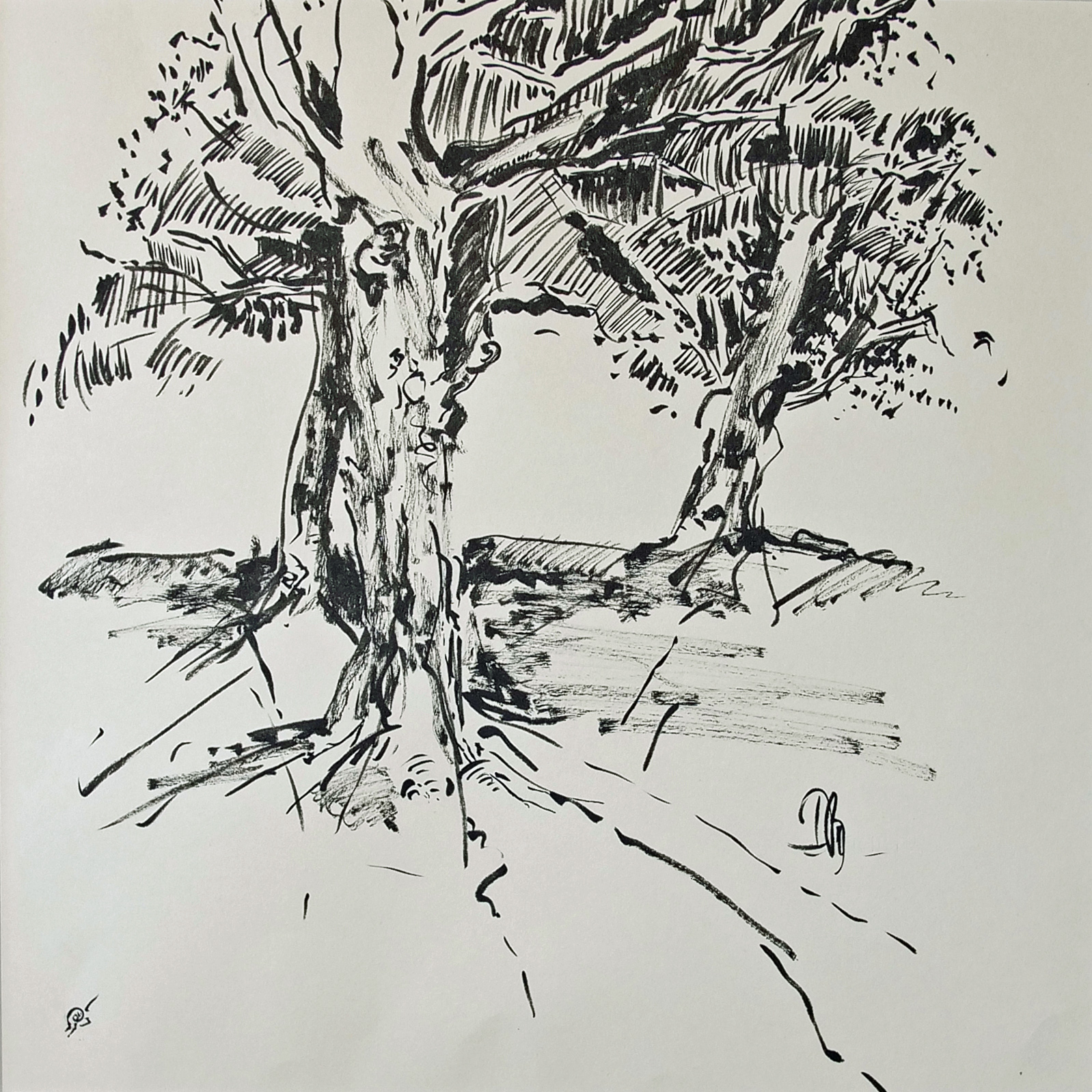 1 Zeichnung Baum oP