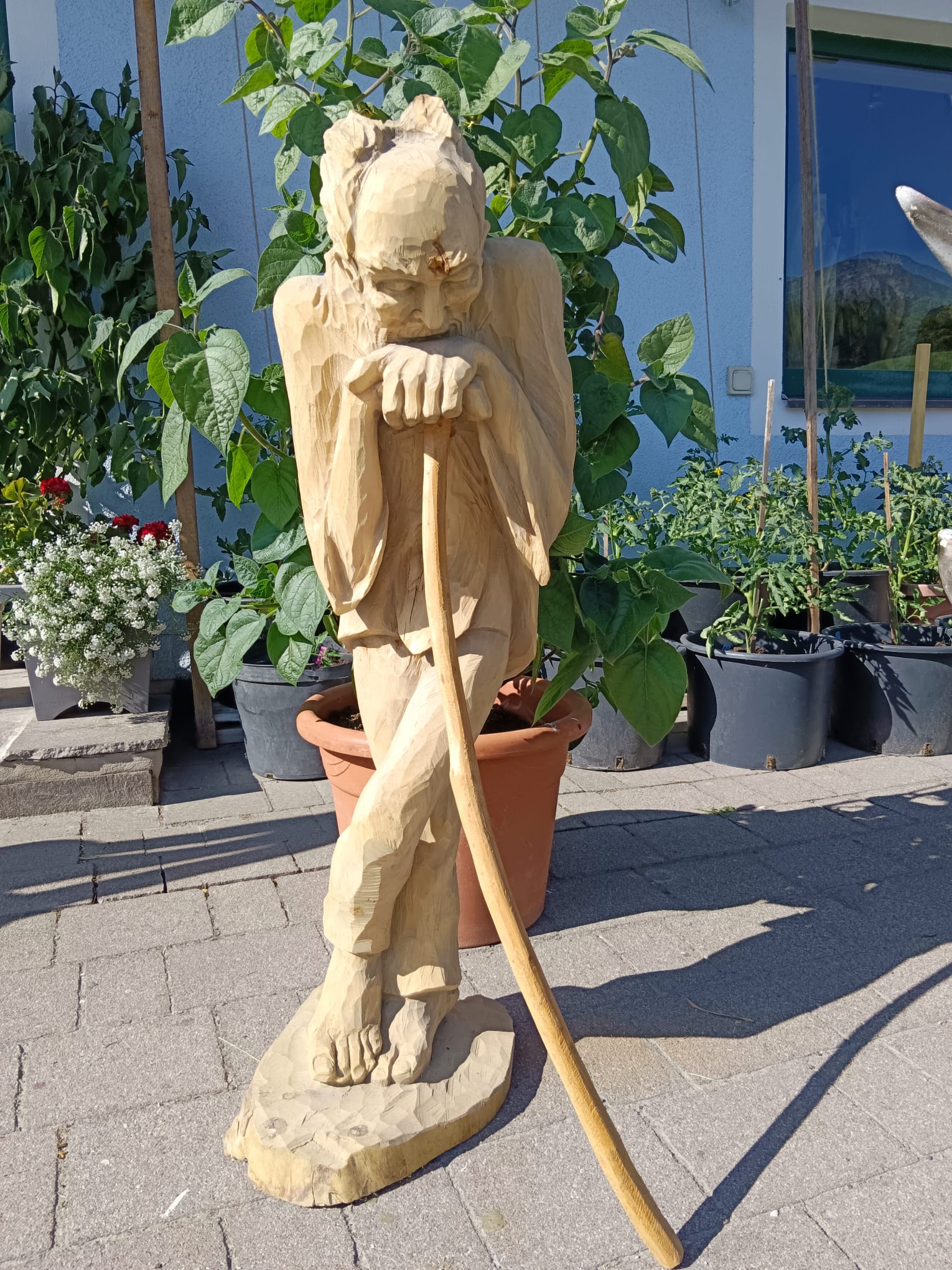 der alte Mann der alte Mann